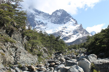 Fototapeta na wymiar Torres Del Paine, Chile.