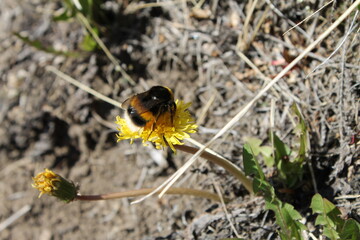 El Chaltén, Argentina