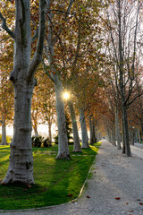 Tagóra promenade in Balatonfüred next to Lake Balaton colorful autumn