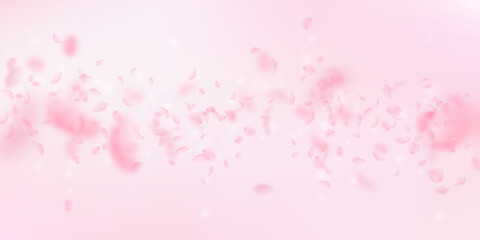 Sakura petals falling down. Romantic pink flowers 