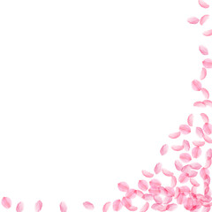 Obraz na płótnie Canvas Sakura petals falling down. Romantic pink silky me