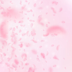 Fototapeta na wymiar Sakura petals falling down. Romantic pink flowers 