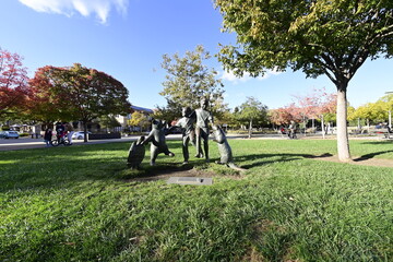 Fall Colors 2020 around Cupertino Library