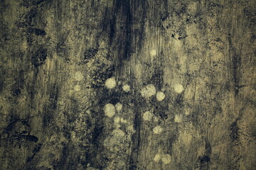old grunge rough  paper texture graphic art background
