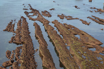 Low tide at the coast of Biarritz in the Bay of Biscay, France