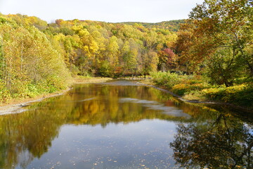 Fototapeta na wymiar The view of the striking colors of fall foliage by the river near Tunkhannock, Pennsylvania, U.S.A