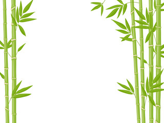 Bamboo background. Asian fresh green bamboo stalks, natural bamboo plant backdrop, stick plants with foliage vector illustration. Natural tree branches with leaves, ecological chinese plants