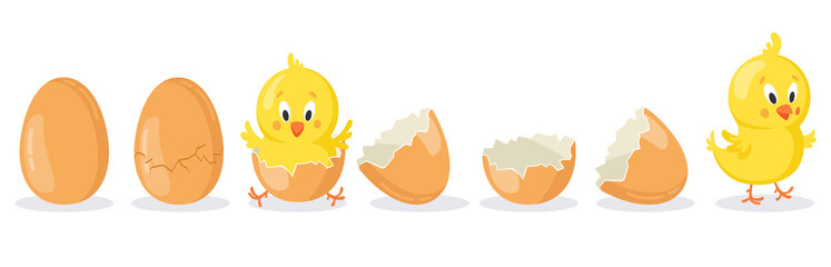 Cartoon hatched easter egg. Cracked chicken eggs with cute chicken mascot, newborn baby chick bird hatching from egg vector illustration set. Poultry cute yellow character appearance