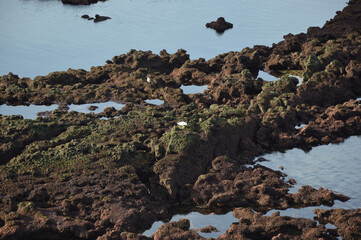 Low tide at the coast of Biarritz in the Bay of Biscay, France