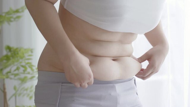 三段腹 Images – Browse 68 Stock Photos, Vectors, and Video | Adobe