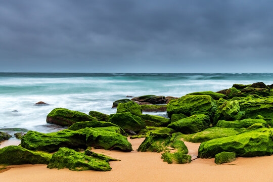 Moody Sunrise at the Seaside with Green Mossy Rocks