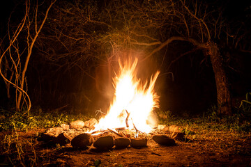 Flames of a campfire at night in a dark spooky forest surrounded by stones shaping strong shadows