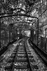 Fototapeta na wymiar old railway tracks