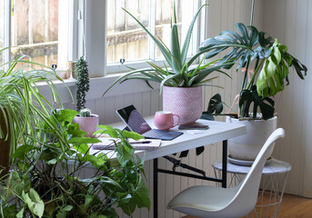Home interior office space table and chair with laptop computer and potted indoor plants 
