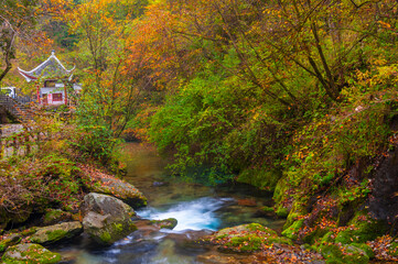 Autumn scenery of Muyu Xiangxiyuan in Shennongjia, Hubei, China
