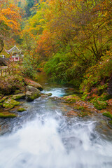 Fototapeta na wymiar Autumn scenery of Muyu Xiangxiyuan in Shennongjia, Hubei, China 