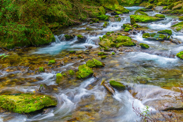 Fototapeta premium Autumn scenery of Muyu Xiangxiyuan in Shennongjia, Hubei, China 