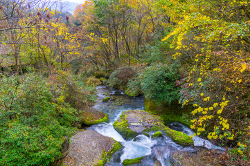 Autumn scenery of Muyu Xiangxiyuan in Shennongjia, Hubei, China
