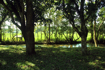 Extraordinary environment on the shores of the beautiful lake