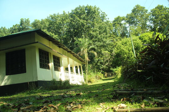 Stunning View Of The Secluded Bungalow House In The Middle Of The Forest