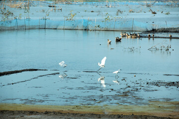 Stunning view of Khalbil under the huge blue sky