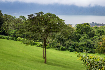 Bali Botanic Garden in Bedugul. View from hill. Panoramic landscape with tropical plants and lake.