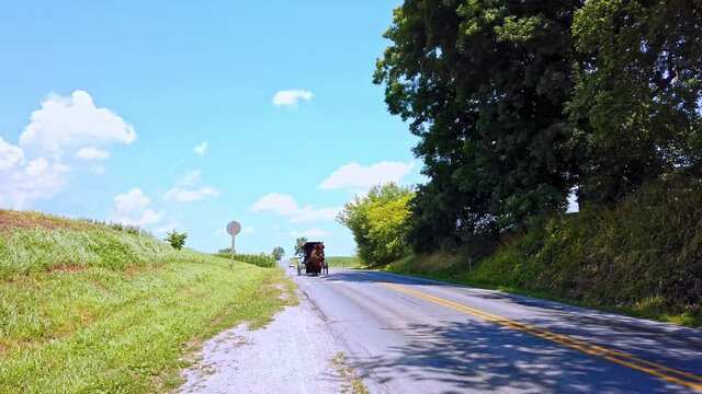 Amish Horse and Buggy Trotting Along Country Road on a Sunny Summer Day
