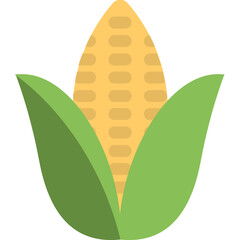 
A ripe corn cob, flat vector icon 
