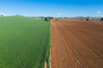 Farmland - Cowra NSW Australia. Located in the central west of NSW the area around Cowra has very productive farmland.