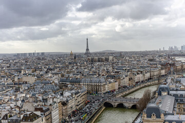 Fototapeta na wymiar Paris, vue panoramique du haut dela cathédrale Notre-Dame