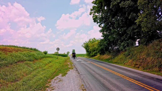 Amish Horse and Buggy Trotting Along Country Road on a Sunny Summer Day
