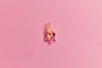 Female hand tearing through pink paper background makes peace sign keeps two fingers up shows welcome gesture copy space for your advertising content. Victory celebration and triumph concept