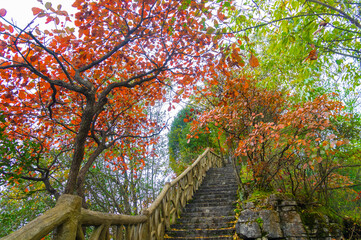 Fototapeta na wymiar Autumn scenery of Jianshiye Three Gorges Scenic Area in Enshi, Hubei, China