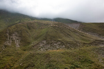 a flock of sheep walking on the mountain