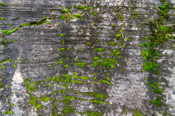Autumn scenery of Jianshiye Three Gorges Scenic Area in Enshi, Hubei, China