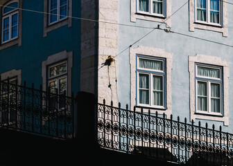Shot of an old blue fenced building, generic architecture in Lisbon, Portugal