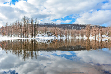 Snow and lake, lake surrounded by snow and trees, reflection of trees and clouds sky and snow-covered mountains on a lake in winter, jijel algeria