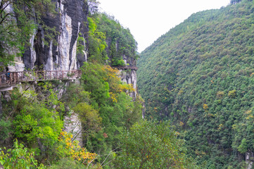 Fototapeta na wymiar Autumn scenery of the Dixin Valley Scenic Area in Enshi, Hubei, China