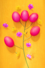 Bright cute Easter concept. The eggs are painted magenta, flowers and stems of grass lie on a yellow wooden background.