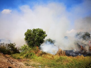 Fototapeta na wymiar Dirty smoke caused by fire. Soaring in the sky