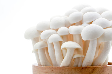 White beech mushrooms or White shimeji mushrooms in wooden bowl over white background.
