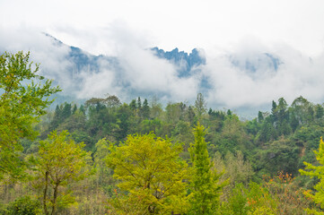 Autumn scenery of Enshi Grand Canyon Scenic Area, Hubei, China