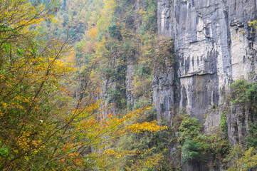 Autumn scenery of Enshi Grand Canyon Scenic Area, Hubei, China
