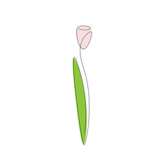 Flower on white background. Vector illustration