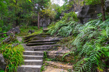 Enshi Suobuya Stone Forest Scenic Area, Hubei, China