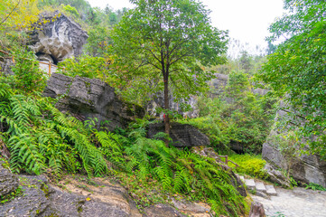 Obraz premium Enshi Suobuya Stone Forest Scenic Area, Hubei, China