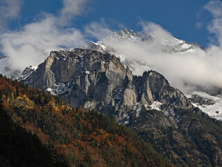 Autumn forest and snowy mountains