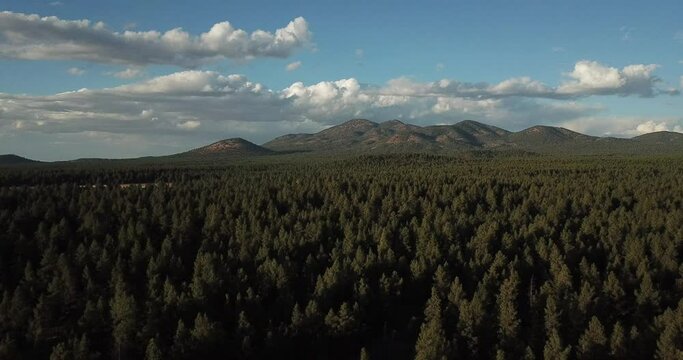 Flagstaff Arizona Forest from Above Drone Aerial Autumn Fall Flyover Isolated