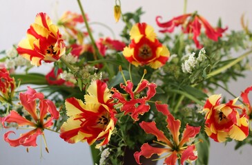 フレーミングパーロット