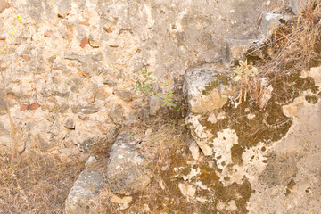 Antique stone wall. Old plaster close up background.